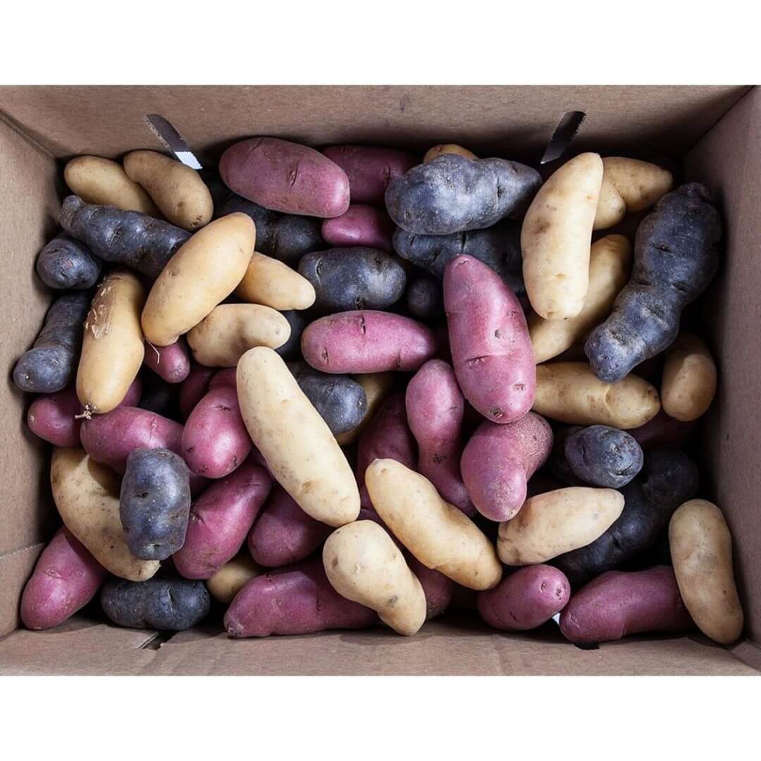 Gourmet Imports, Grande Gourmet, Fresh Fingerling Potatoes